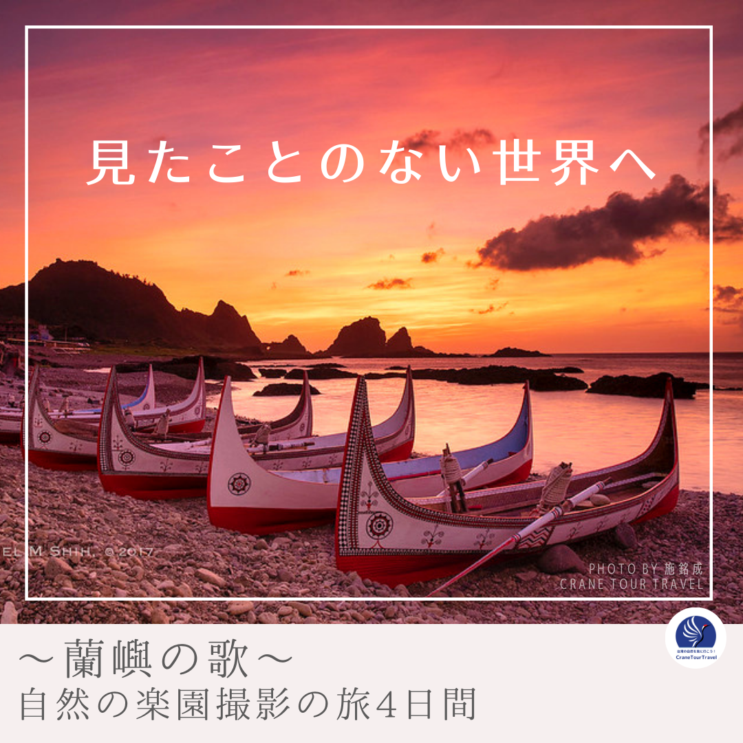 【～蘭嶼の歌～ 自然の楽園撮影の旅4日間】