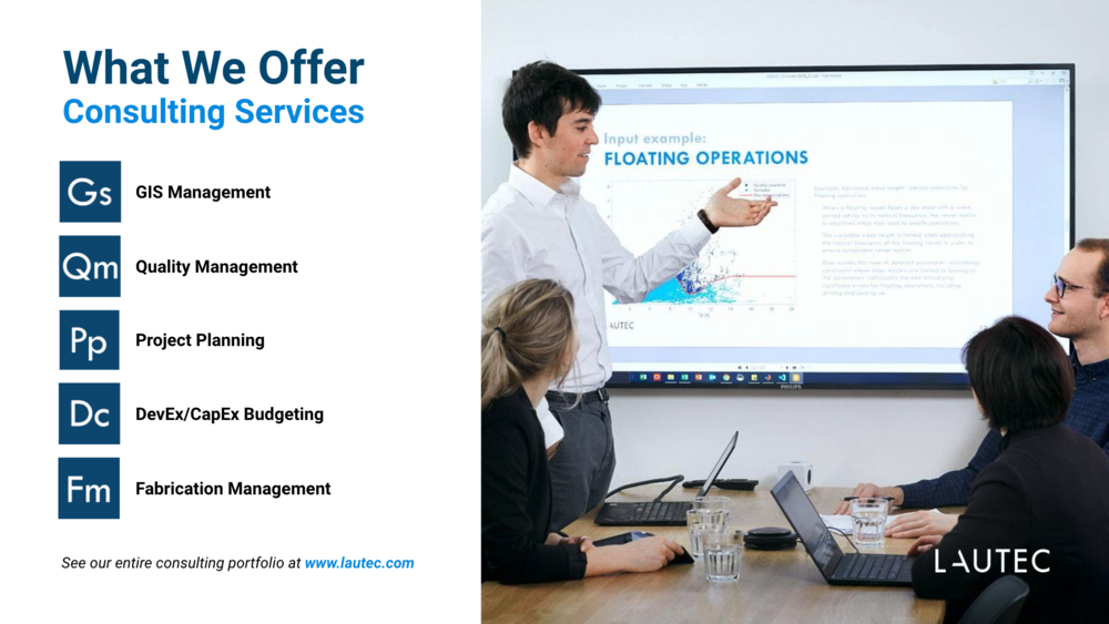 Our Consulting Services 