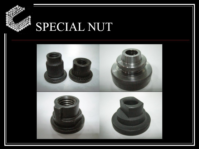 SPECAIL NUT