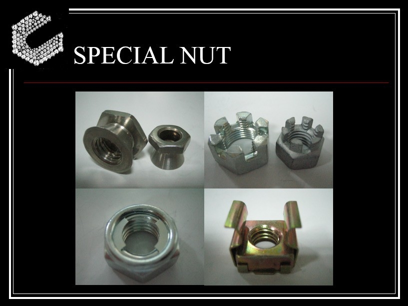 SPECIAL NUT