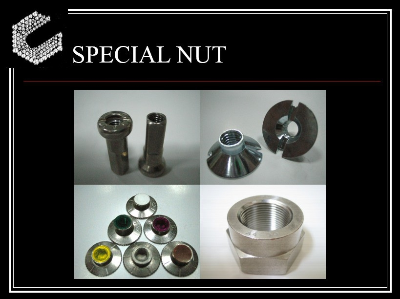 SPECIAL NUT