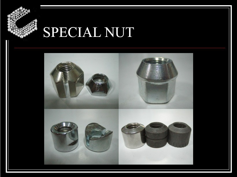 SPECIAL NUT