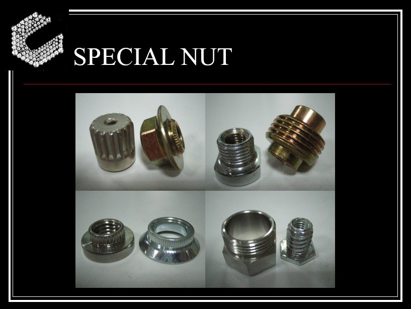 SPECIAL NUT