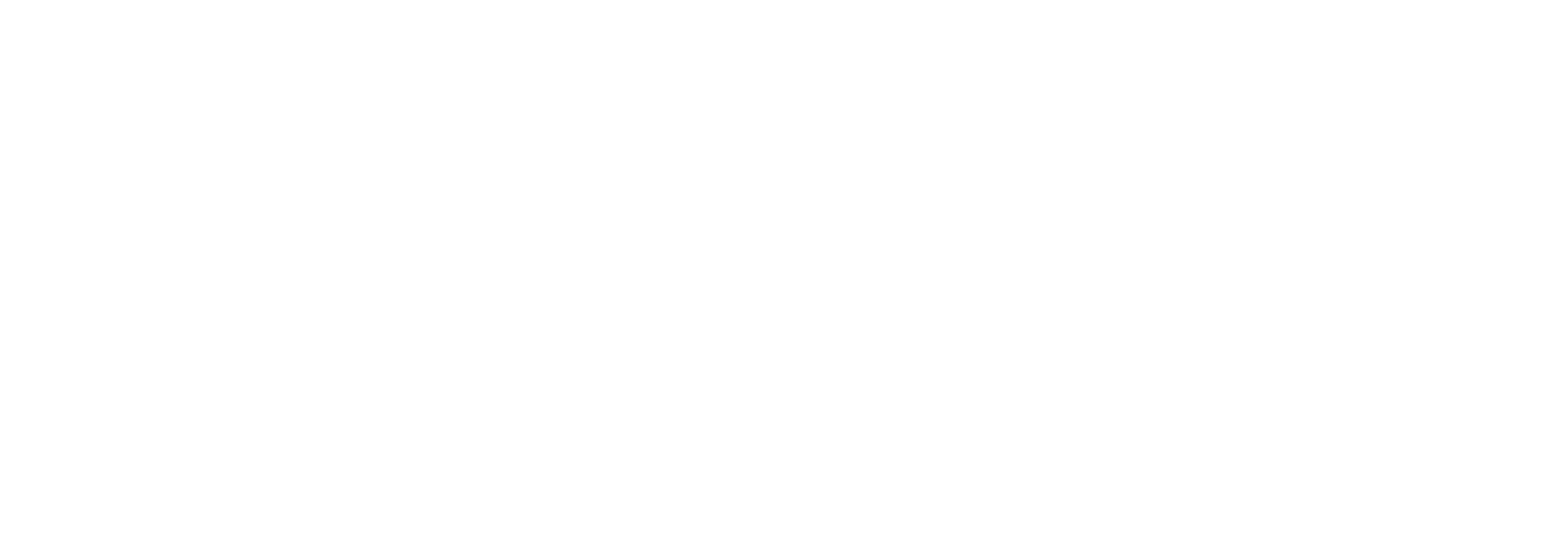 CES 2021