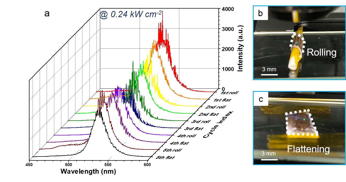 可捲曲式軟性超穎光子元件
Rollable and soft photonic meta-device