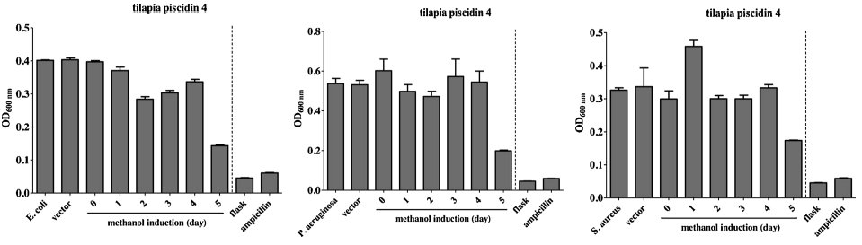 Supernatant of yeast expressing rTP4 exhibits antimicrobial activity.