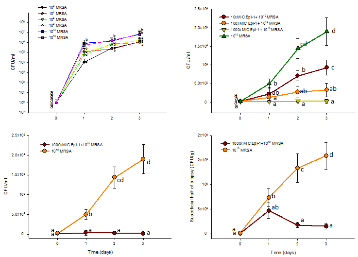 Epi-1 decreases the heat injury-mediated MRSA infection in pigs