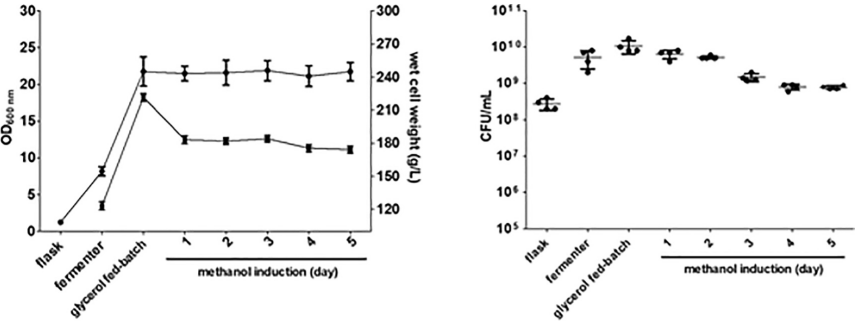 Effect of medium composition on the expression of rEP in P. pastoris.