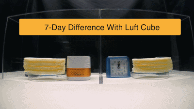 LUFT Duo - Air purified down to the molecule is designed to be convenient and eco-friendly. Simplicity design is fusion with aluminum and ABS makes elegant outlook that is crucial for a personal use. 