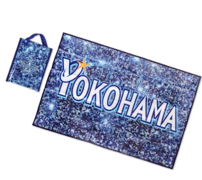 Supplier of Outdoor Reusable and Waterproof Picnic Mat