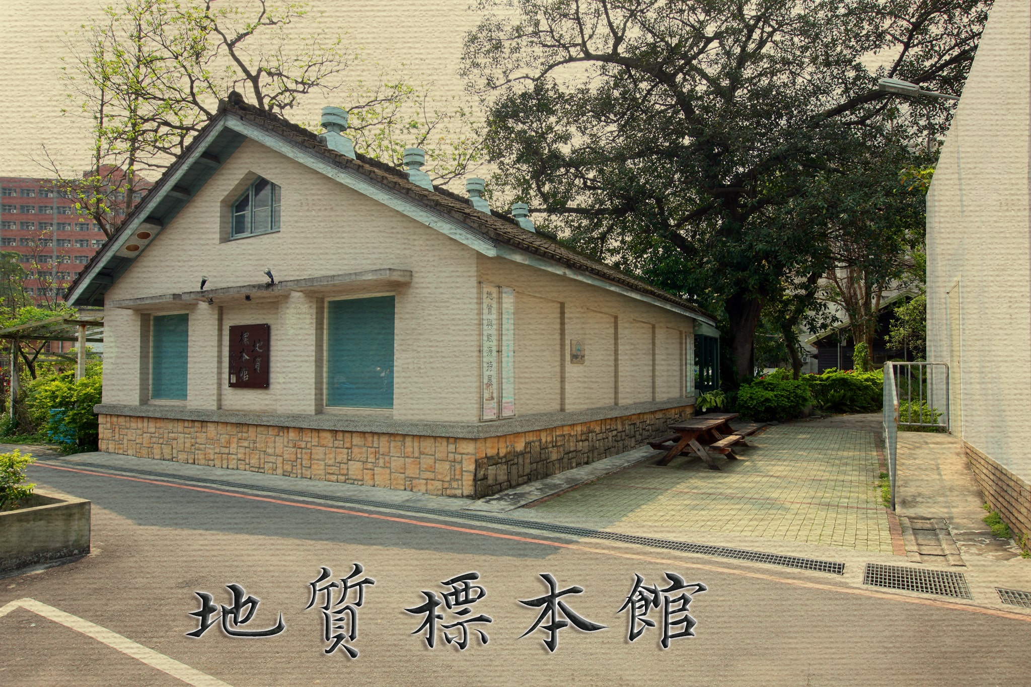臺大地質標本館